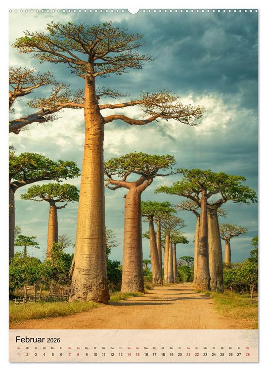 Produktbild: MADAGASKAR: Baobabs, Lemuren, Naturwunder (hochwertiger Premium Wandkalender 2026 DIN A2 hoch), Kunstdruck in Hochglanz