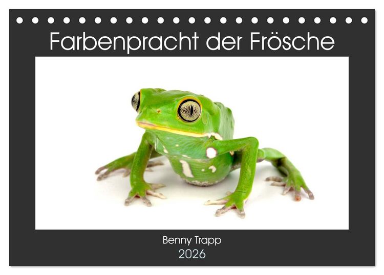 Produktbild: Farbenpracht der Fr&ouml;sche (Tischkalender 2026 DIN A5 quer), CALVENDO Monatskalender