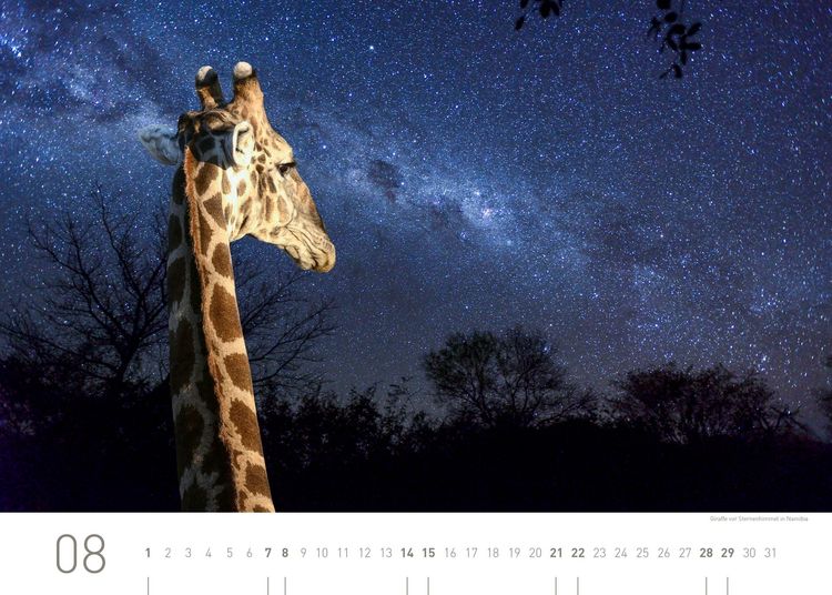 Produktbild: Namibia Exklusivkalender 2027