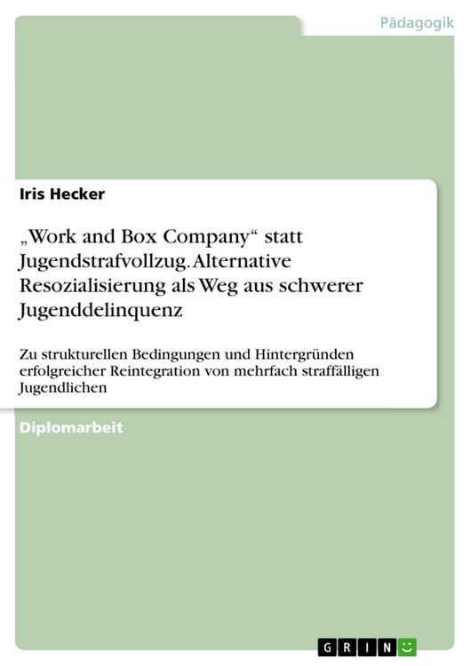 Produktbild: "Work and Box Company" statt Jugendstrafvollzug - Alternative Resozialisierung als Weg aus schwerer Jugenddelinquenz