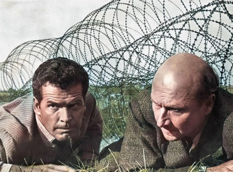Produktbild: Gesprengte Ketten (UHD-Blu-ray)