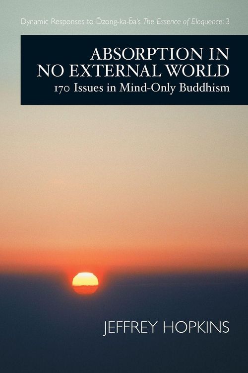 Produktbild: Absorption in No External World