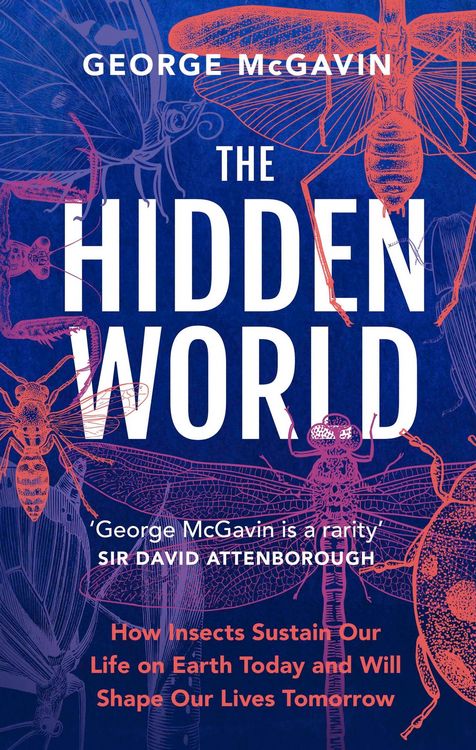 Produktbild: The Hidden World