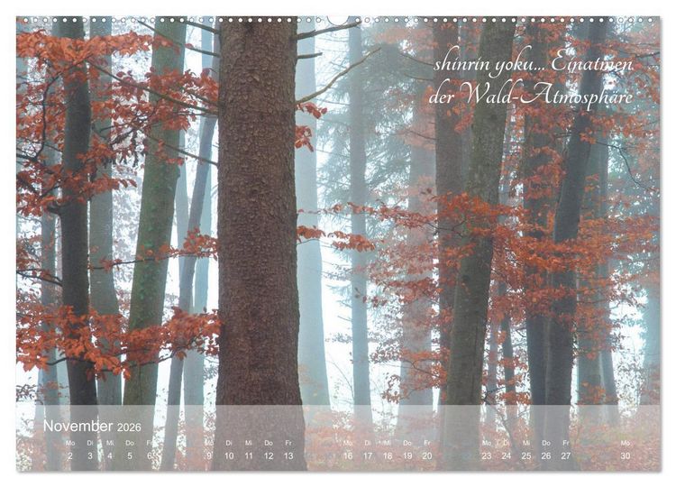 Produktbild: Shinrin yoku - Waldbaden 2026 (Wandkalender 2026 DIN A2 quer), CALVENDO Monatskalender