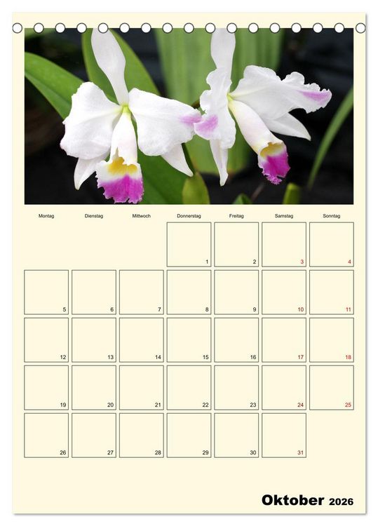 Produktbild: Orchideentr&auml;ume (Tischkalender 2026 DIN A5 hoch), CALVENDO Monatskalender