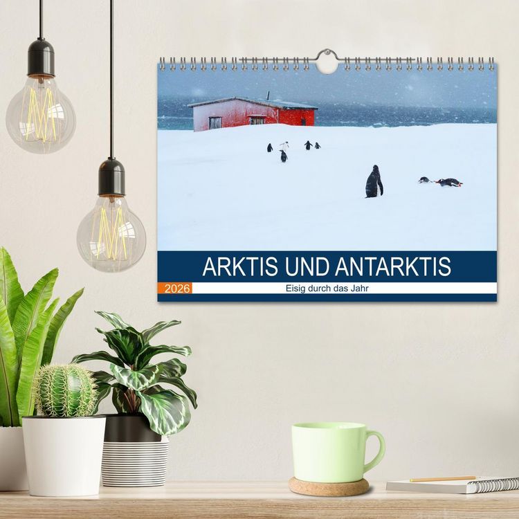 Produktbild: Arktis und Antarktis - Eisig durch das Jahr (Wandkalender 2026 DIN A4 quer), CALVENDO Monatskalender