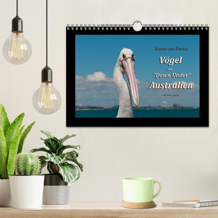 Produktbild: V&ouml;gel von "Down Under" Australien (Wandkalender 2026 DIN A4 quer), CALVENDO Monatskalender