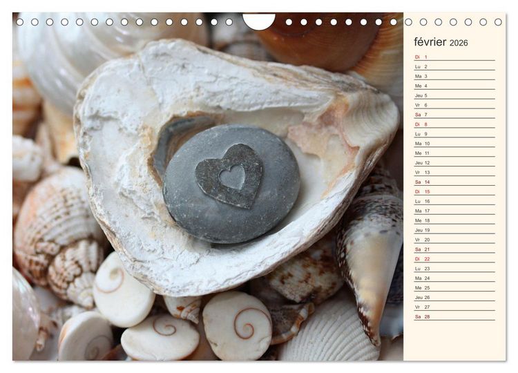Produktbild: Coquillages, pierres et sable (Calendrier mural 2026 DIN A4 vertical), CALVENDO calendrier mensuel