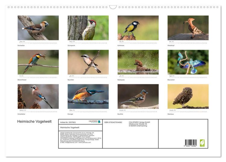Produktbild: Heimische Vogelwelt (Wandkalender 2026 DIN A2 quer), CALVENDO Monatskalender