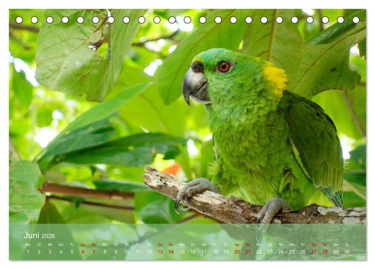 Produktbild: Entdecke Nicaragua (Tischkalender 2026 DIN A5 quer), CALVENDO Monatskalender