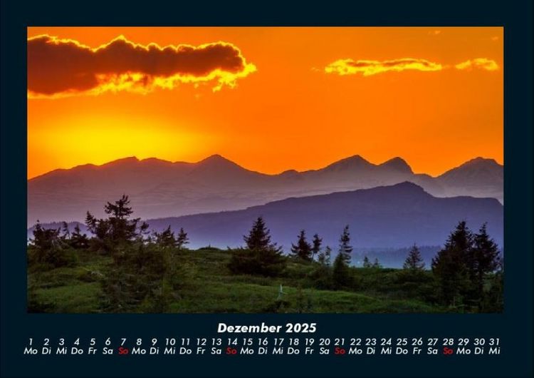 Produktbild: B&auml;ume 2025 Fotokalender DIN A4