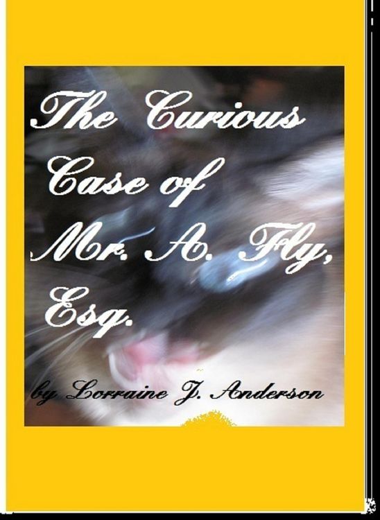 Produktbild: The Curious Case of A. Fly, Esquire