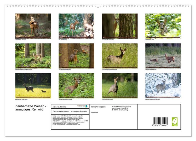 Produktbild: Zauberhafte Wesen - anmutiges Rehwild (hochwertiger Premium Wandkalender 2026 DIN A2 quer), Kunstdruck in Hochglanz