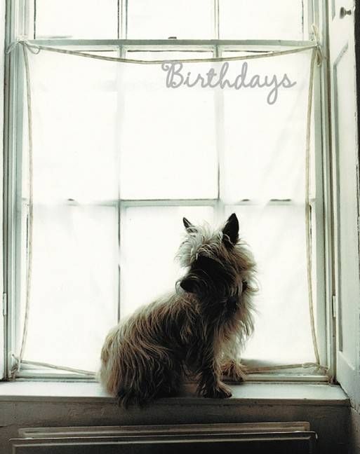 Produktbild: White Birthday Book