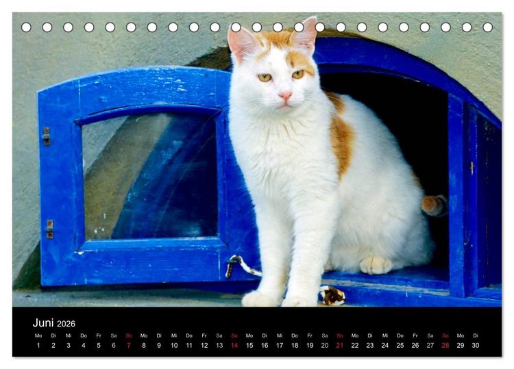 Produktbild: Katzen (Tischkalender 2026 DIN A5 quer), CALVENDO Monatskalender