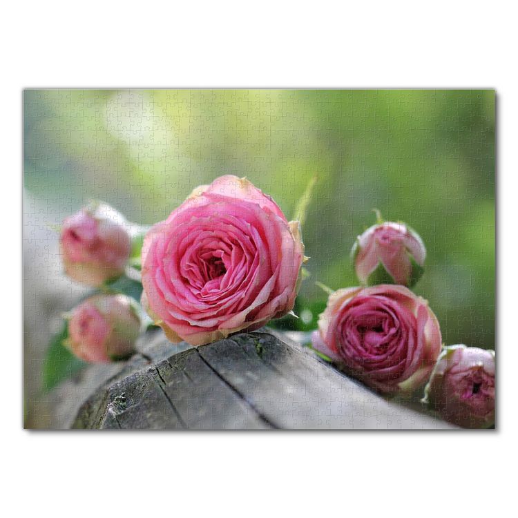 Produktbild: Lais Puzzle Rosen 1000 Teile