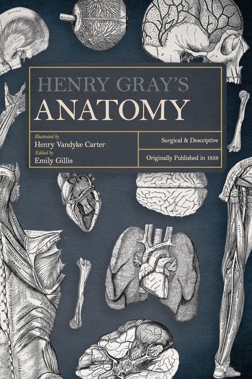 Produktbild: Henry Gray's Anatomy
