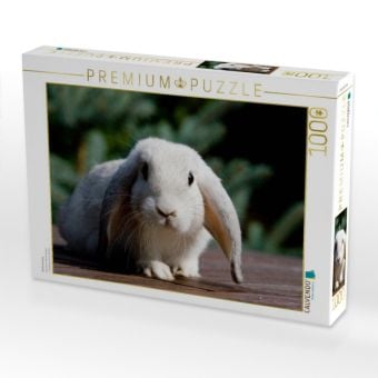 Produktbild: CALVENDO Puzzle Farbenzwerg | 1000 Teile Lege-Gr&ouml;&szlig;e 64x48cm Foto-Puzzle f&uuml;r gl&uuml;ckliche Stunden