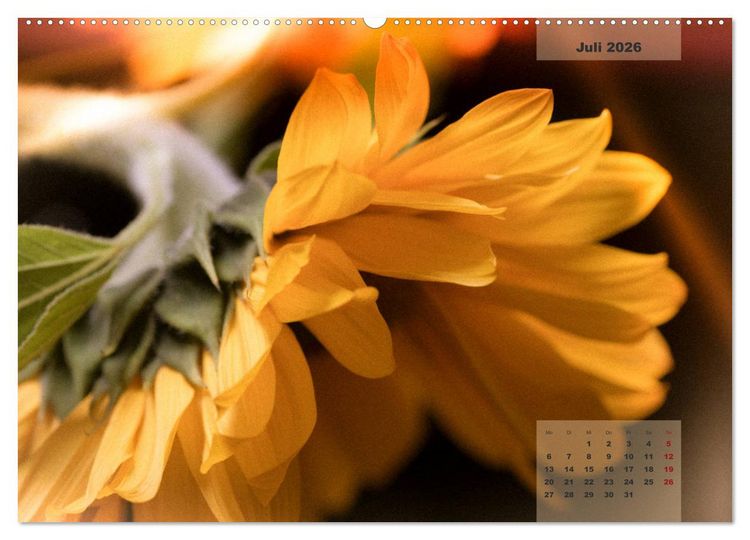 Produktbild: Bl&uuml;ten im Retro-Style (Wandkalender 2026 DIN A2 quer), CALVENDO Monatskalender