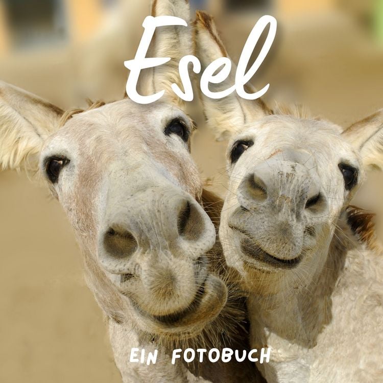 Produktbild: Esel