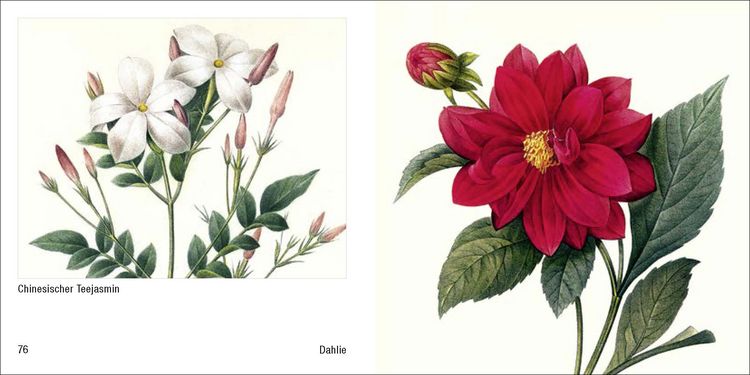 Produktbild: Historische Blumenbilder &ndash; Book To Go