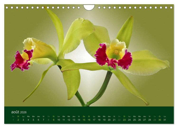 Produktbild: Les Orchid&eacute;es (Calendrier mural 2026 DIN A4 vertical), CALVENDO calendrier mensuel
