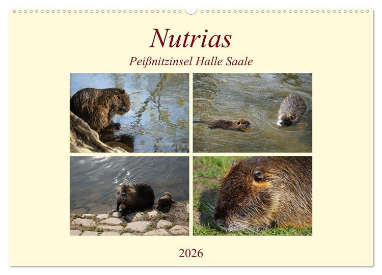 Produktbild: Nutrias Pei&szlig;nitzinsel Halle Saale (Wandkalender 2026 DIN A2 quer), CALVENDO Monatskalender