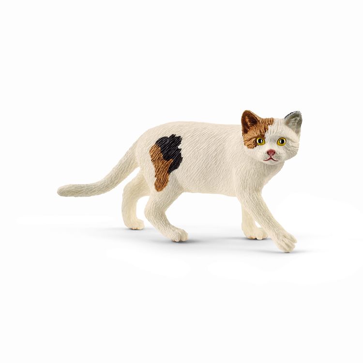 Produktbild: Schleich - Farm World - Amerikanische Kurzhaarkatze