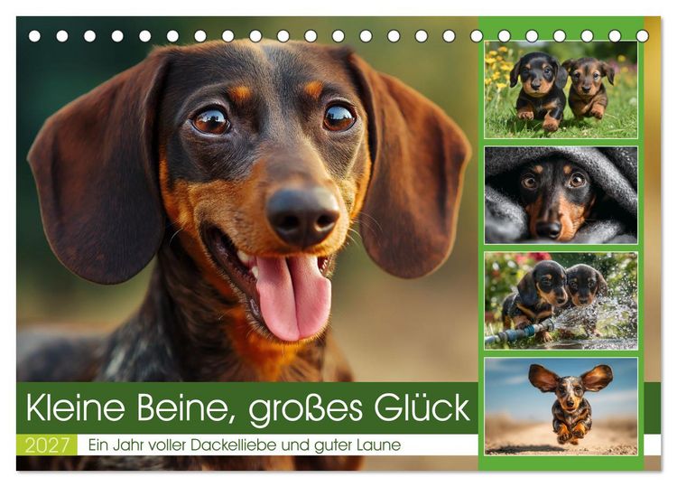 Produktbild: Kleine Beine, gro&szlig;es Gl&uuml;ck (Tischkalender 2027 DIN A5 quer), CALVENDO Monatskalender