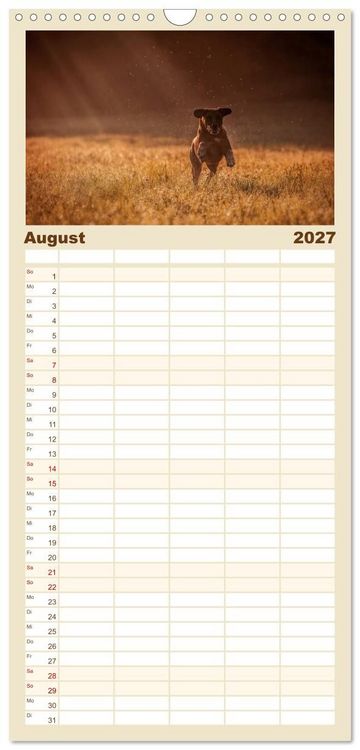 Produktbild: Familienplaner 2027 - Rhodesian Ridgeback - Herzen auf vier Pfoten mit 5 Spalten (Wandkalender, 21 x 45 cm) CALVENDO