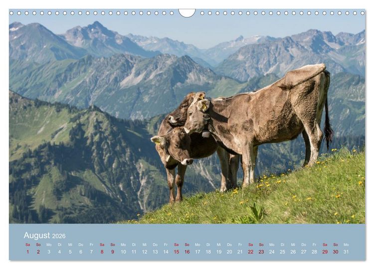 Produktbild: Heimweh Allg&auml;u 2026 (Wandkalender 2026 DIN A3 quer), CALVENDO Monatskalender