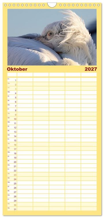Produktbild: Familienplaner 2027 - Krauskopfpelikane mit 5 Spalten (Wandkalender, 21 x 45 cm) CALVENDO