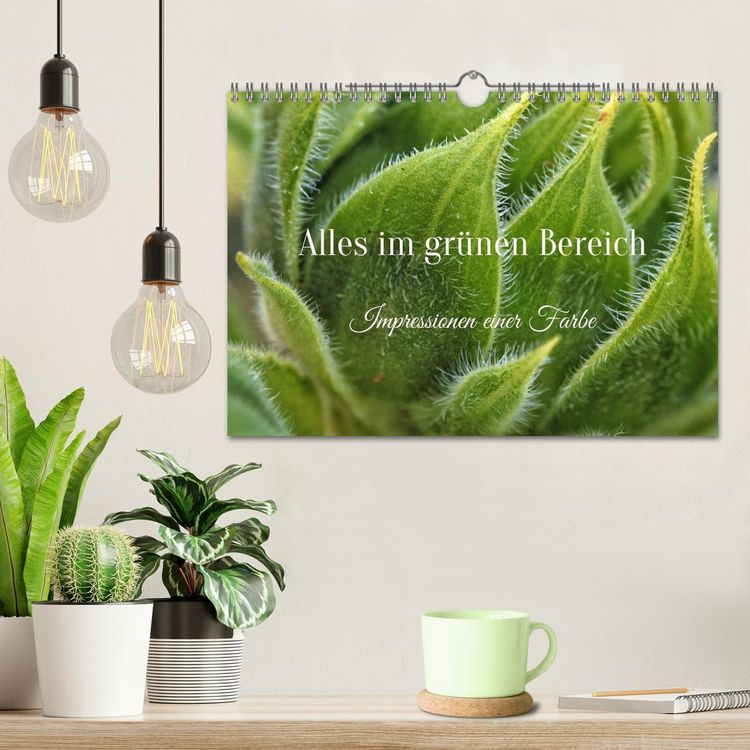 Produktbild: Alles im gr&uuml;nen Bereich (Wandkalender 2026 DIN A4 quer), CALVENDO Monatskalender