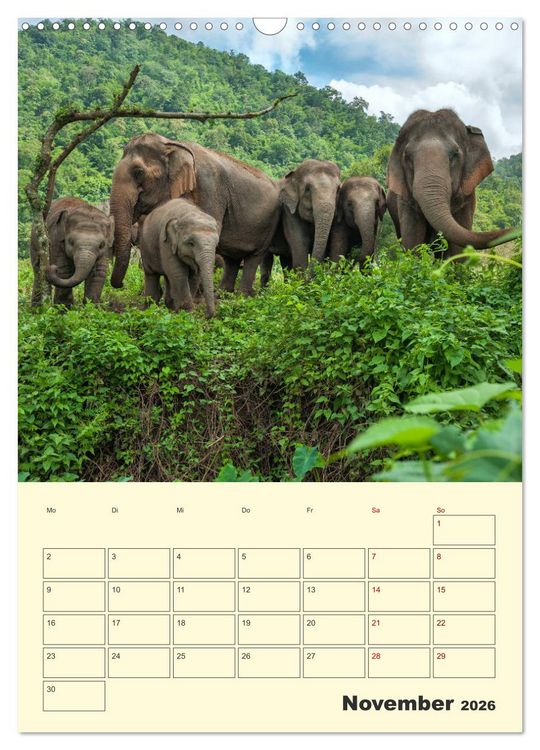 Produktbild: ELEFANTEN - Asiens graue Riesen (Wandkalender 2026 DIN A3 hoch), CALVENDO Monatskalender