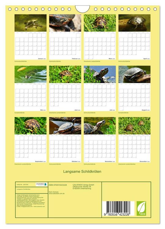 Produktbild: Langsame Schildkr&ouml;ten (Wandkalender 2026 DIN A4 hoch), CALVENDO Monatskalender
