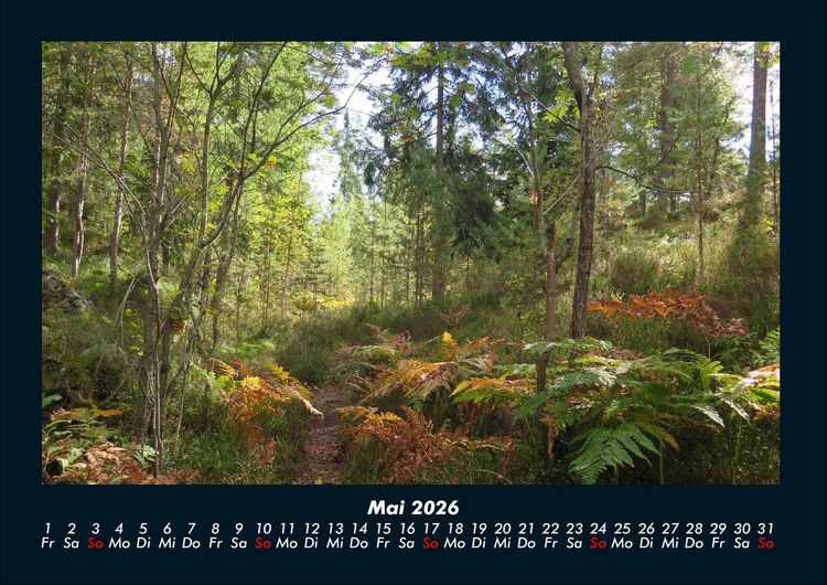Produktbild: Unser Heimatplanet 2026 Fotokalender DIN A4