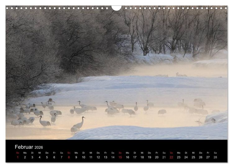 Produktbild: V&ouml;gel & Landschaften (Wandkalender 2026 DIN A3 quer), CALVENDO Monatskalender