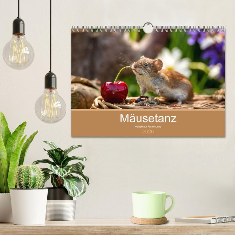 Produktbild: M&auml;usetanz (Wandkalender 2026 DIN A4 quer), CALVENDO Monatskalender