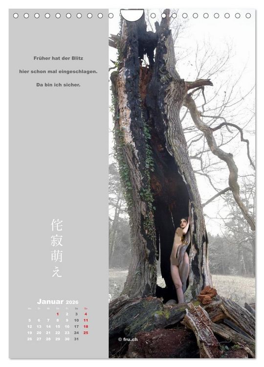 Produktbild: wabi sabi moe &mdash; bewundernswert verg&auml;nglich erotisch &mdash; Akt/Bodypainting (Wandkalender 2026 DIN A4 hoch), CALVENDO Monatskalender