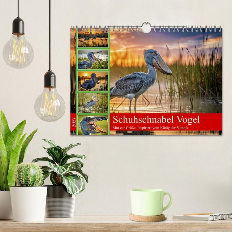 Produktbild: Schuhschnabel Vogel (Wandkalender 2027 DIN A4 quer), CALVENDO Monatskalender
