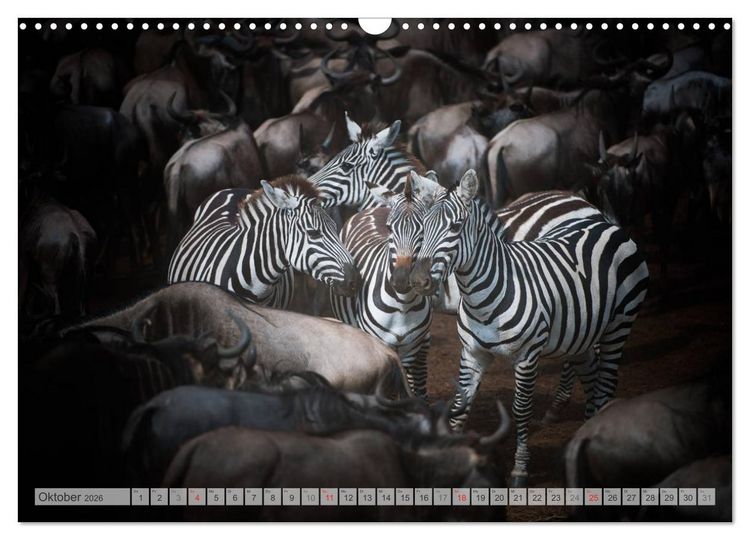 Produktbild: Emotionale Momente: Afrika Wildlife Part 2 / CH-Version (Wandkalender 2026 DIN A3 quer), CALVENDO Monatskalender