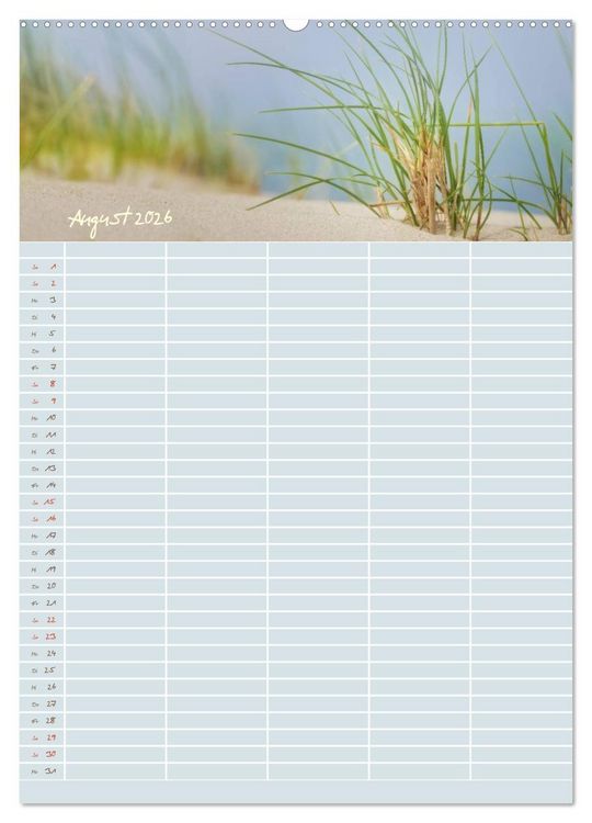 Produktbild: Kleine Sand-Sch&ouml;nheiten / Familienplaner (Wandkalender 2026 DIN A2 hoch), CALVENDO Monatskalender