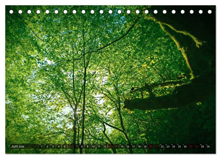 Produktbild: Slowenien - Soca Tal (Tischkalender 2026 DIN A5 quer), CALVENDO Monatskalender