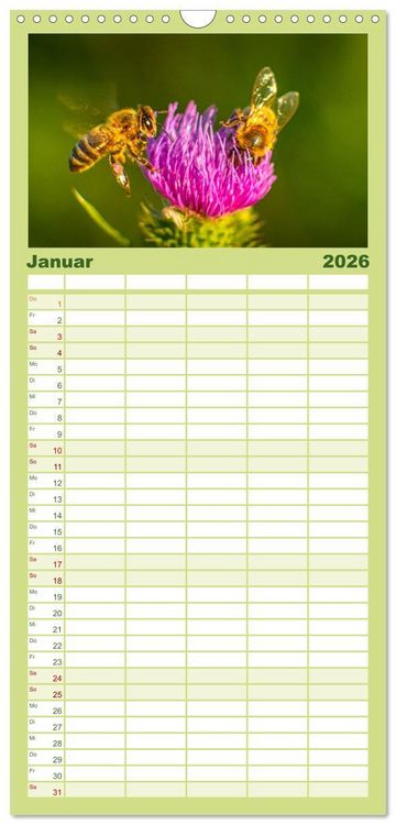 Produktbild: Familienplaner 2026 - Die Welt der flei&szlig;igen Bienen mit 5 Spalten (Wandkalender, 21 x 45 cm) CALVENDO