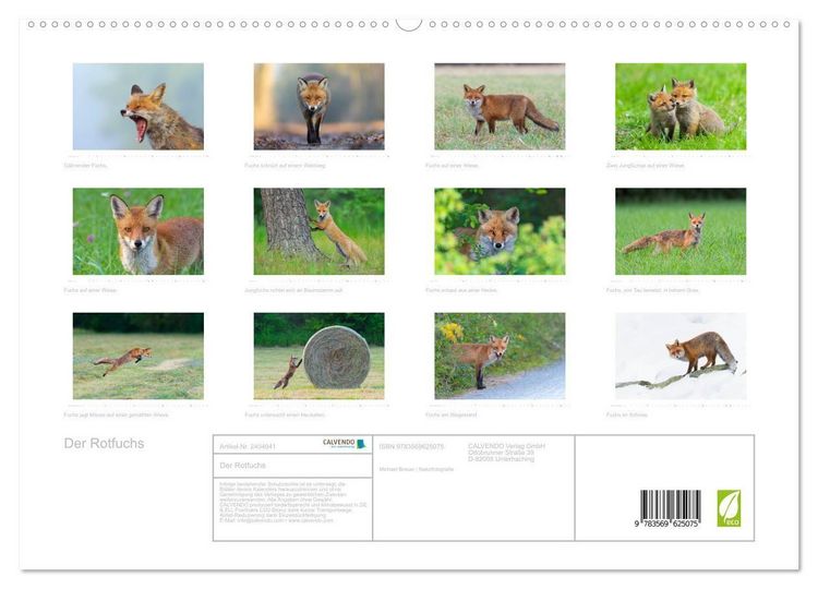 Produktbild: Der Rotfuchs (hochwertiger Premium Wandkalender 2027 DIN A2 quer), Kunstdruck in Hochglanz