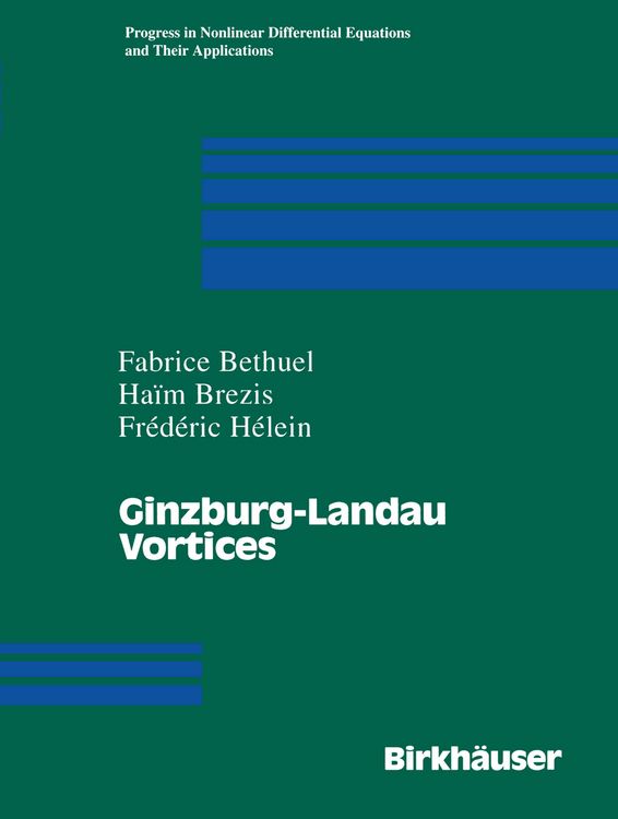 Produktbild: Ginzburg-Landau Vortices