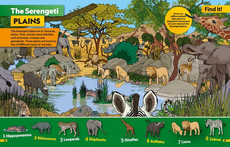 Produktbild: Animals Find it! Explore it!