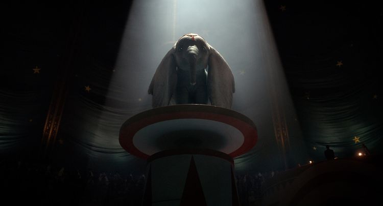 Produktbild: Dumbo (Live-Action)