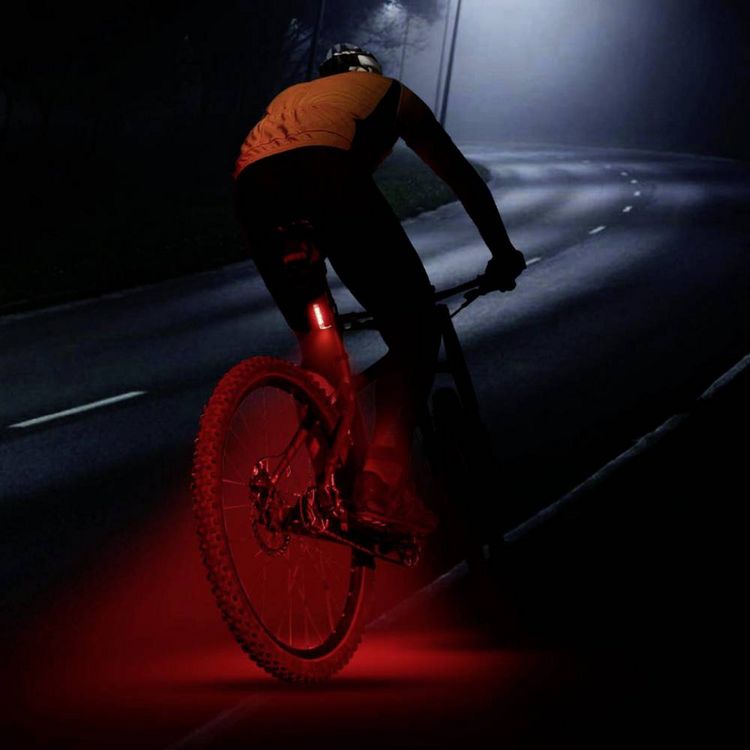 Produktbild: FISCHER FAHRRAD Fahrrad-R&uuml;cklicht PLUS TWIN STOP LED Schwarz