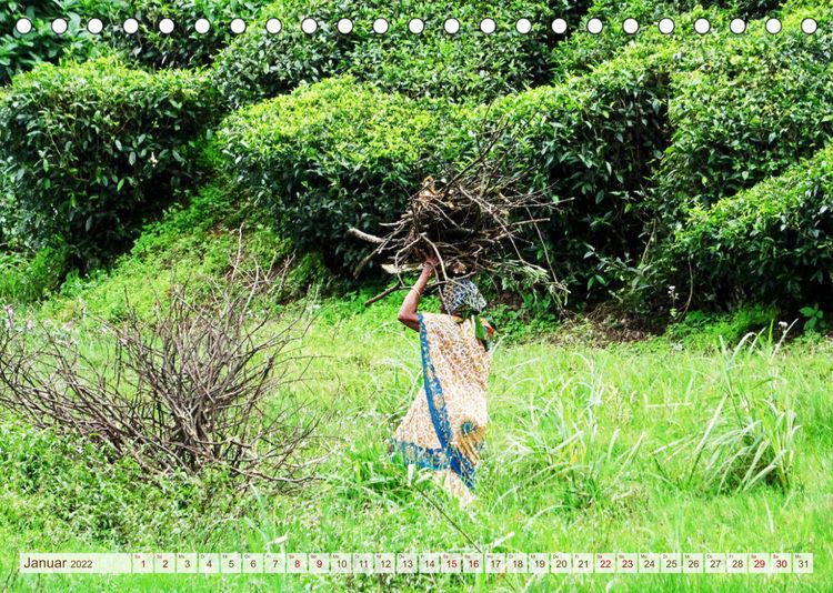 Produktbild: S&uuml;dindien - Naturparadies in den Bergen (Tischkalender 2022 DIN A5 quer)